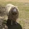 ものがたりのカケラ