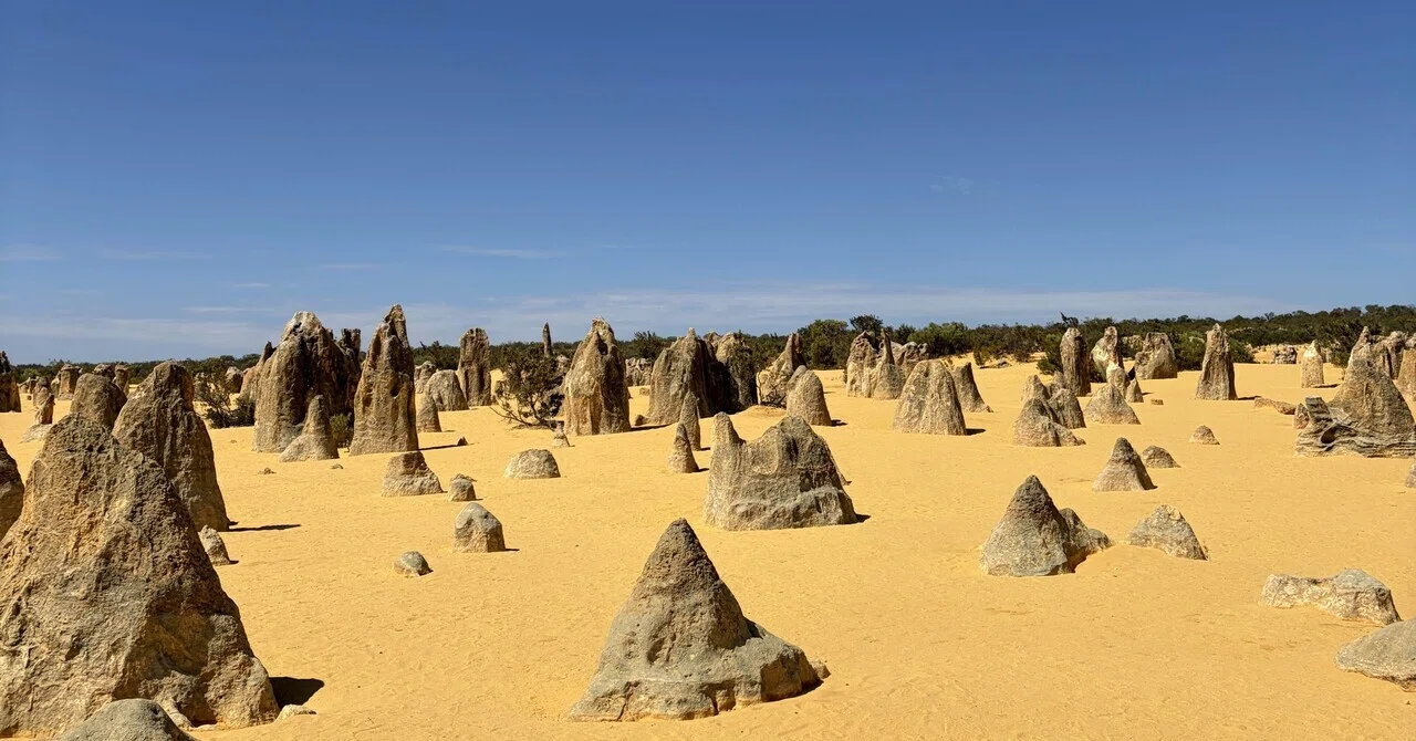 Pinnacle Tours ｜bono1127