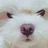 じゅんこ