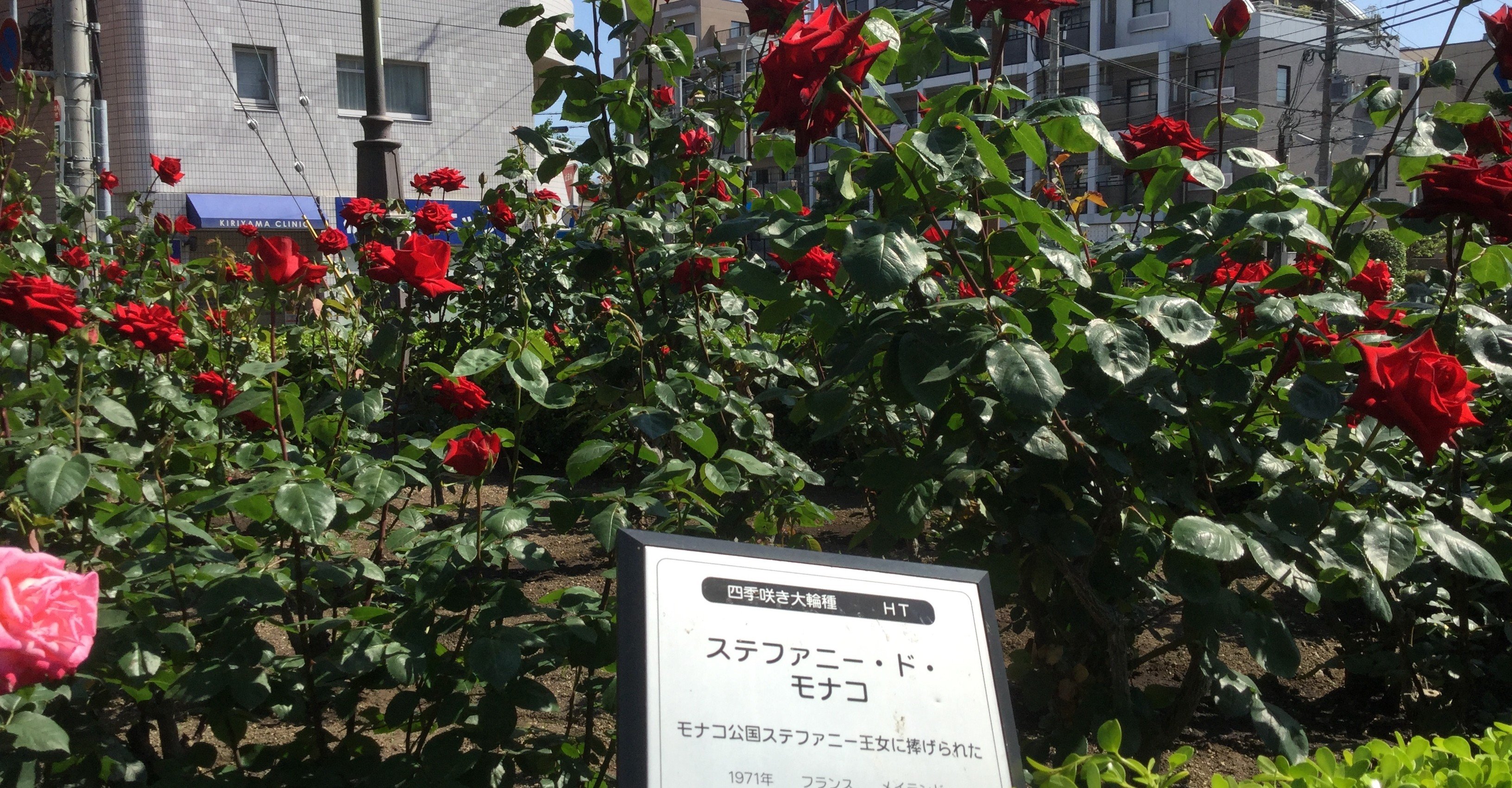 学習者が 日本語を使っている集団の一員になりたいと望んでいる場合 言語習得は促進される 板さん Note 学習者が 日本語を使っている集団の一員になりたいと望んでいる場合 言語習得は促進される 板さん Note