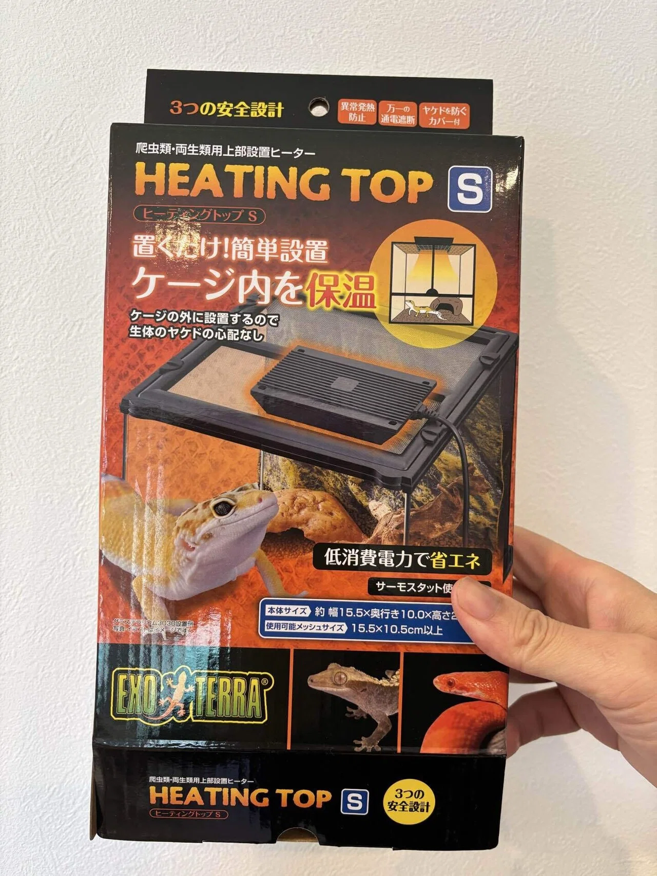 カナヘビ 冬越しセット UV/ヒーター付 水槽一式 ひと足早い冬眠明け[カナヘビ飼育]｜Kei Pakal