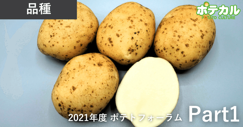 長期貯蔵可能なチップ加工用「しんせい」