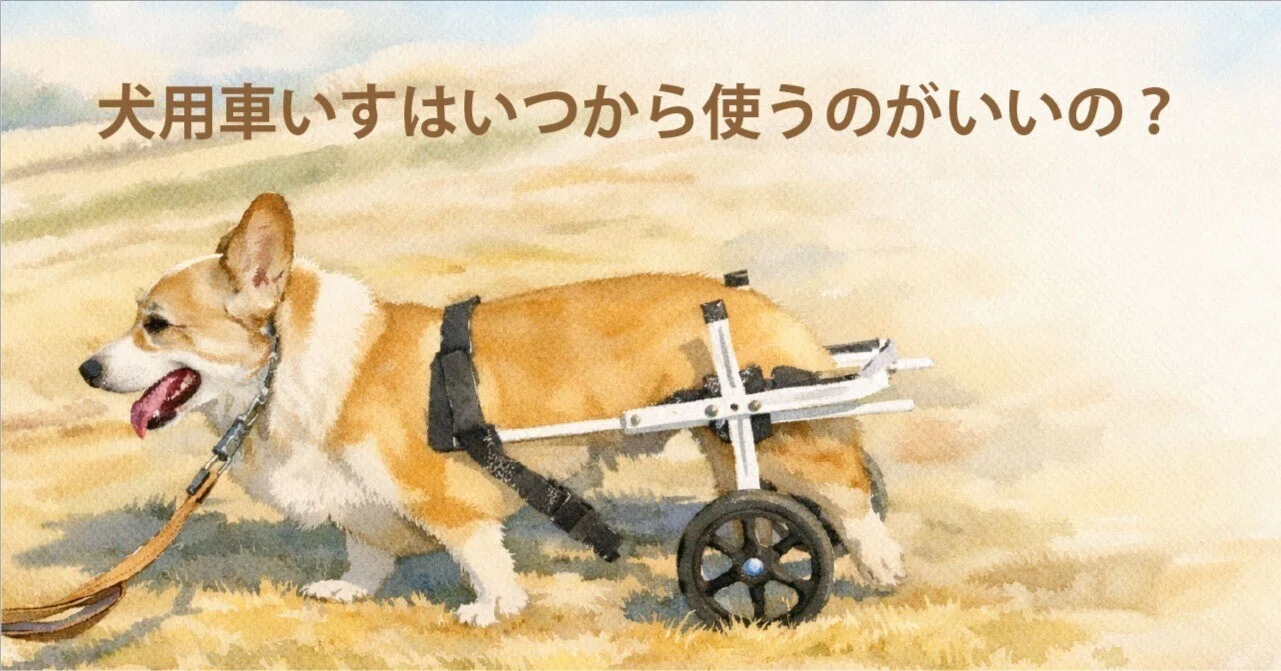 犬用車いすはいつから使うのがいいの？