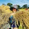 よんよん|里山里海かもす文明ノート