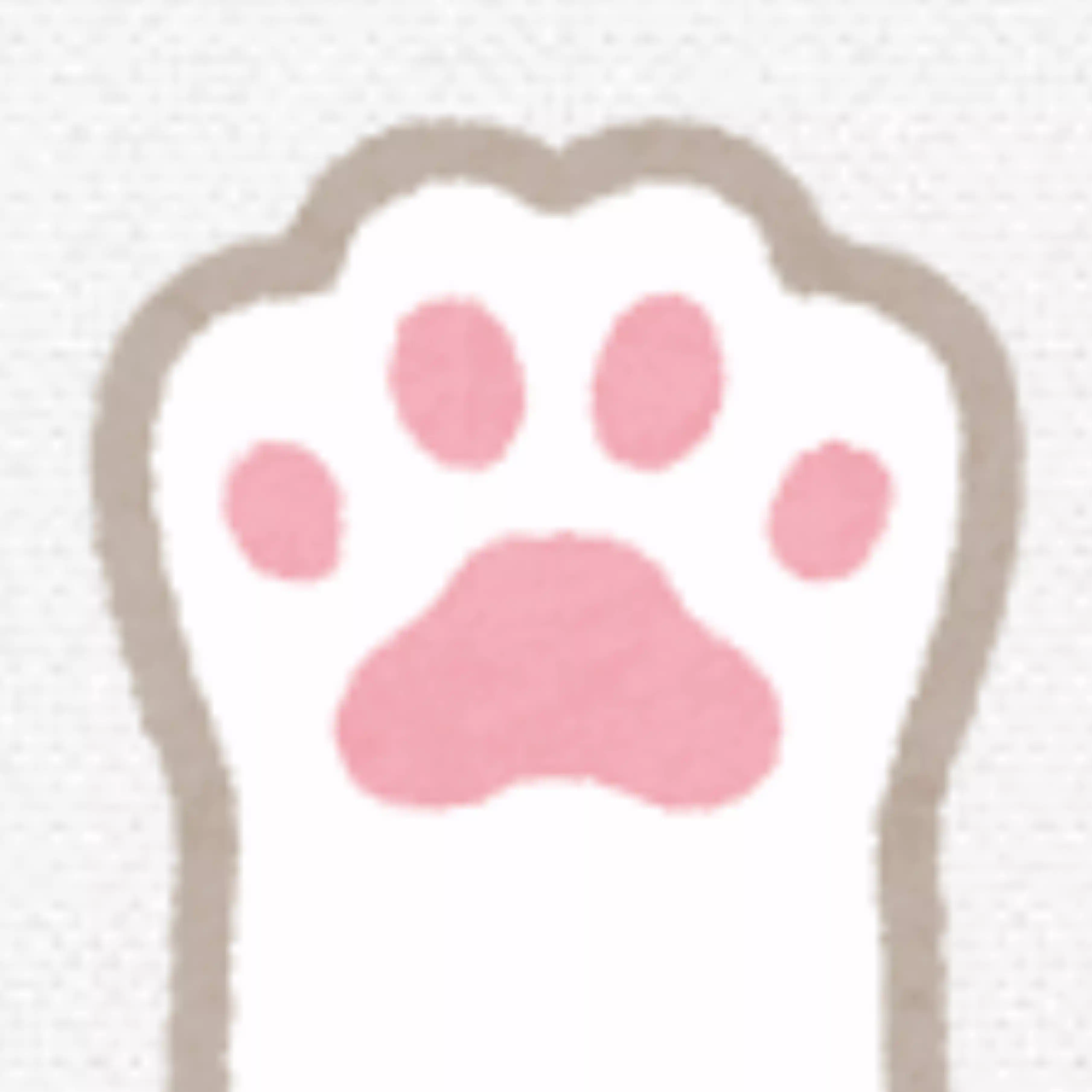 猫様