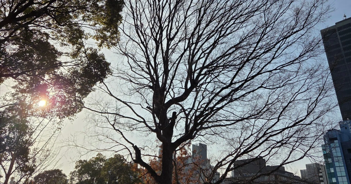 The Uncertain Court of Themis - Final Episode｜なつめ
