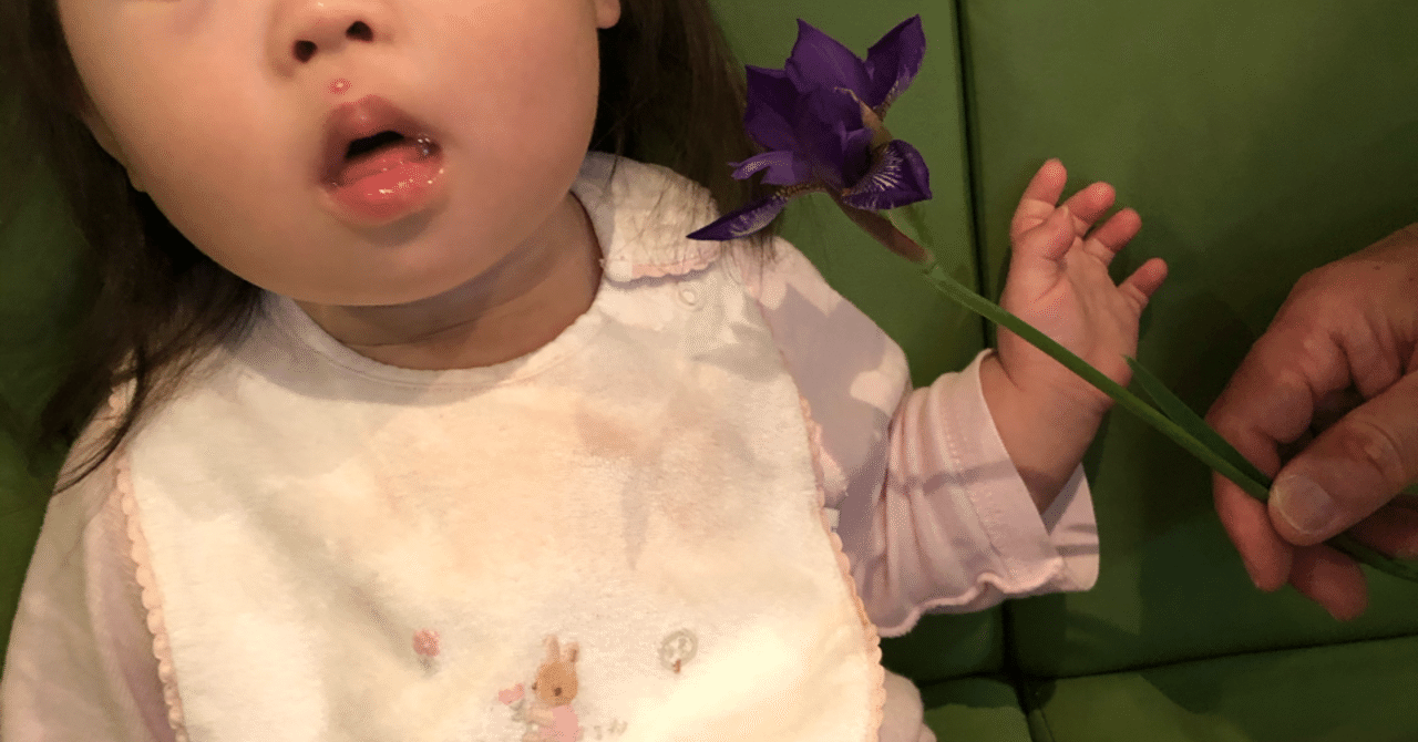 ニキビ 痤瘡 の場所は内臓からのサイン Ayagokoro Note