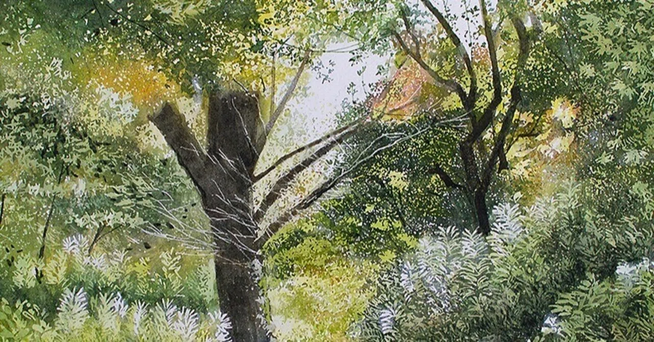 水彩画と鉛筆スケッチのジクレー品質プリント販売を始めます】｜MASATO