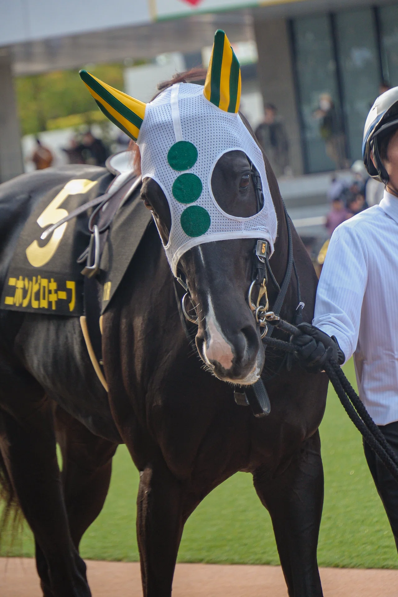 中古】 競馬ファンならパソコンがすぐできる こんなにかんたん！夢の