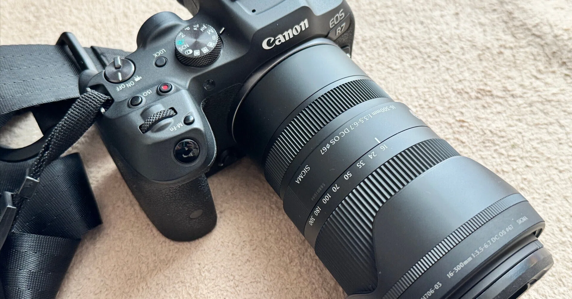 EOS R7 + SIGMA 16-300mm F3.5-6.7 DC OSのレビュー｜いせごん 