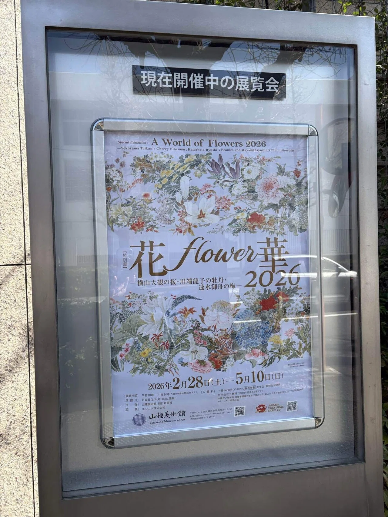 満開の桜と岩絵具の世界〜山種美術館｜sunny side〜大人の学び探検