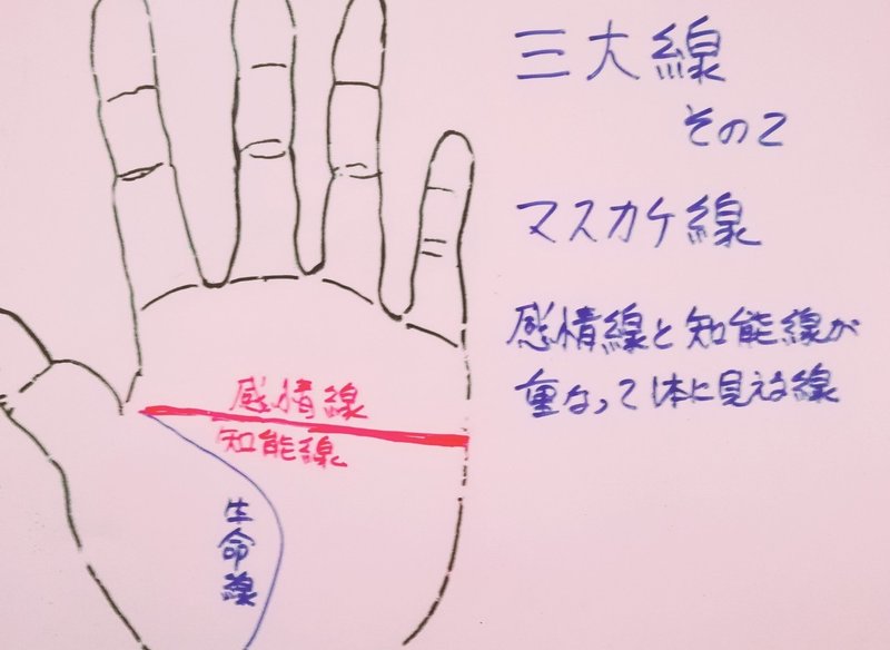 三大線が二本なら 天下取り の相 州岳 しゅうがく 占い師 Note