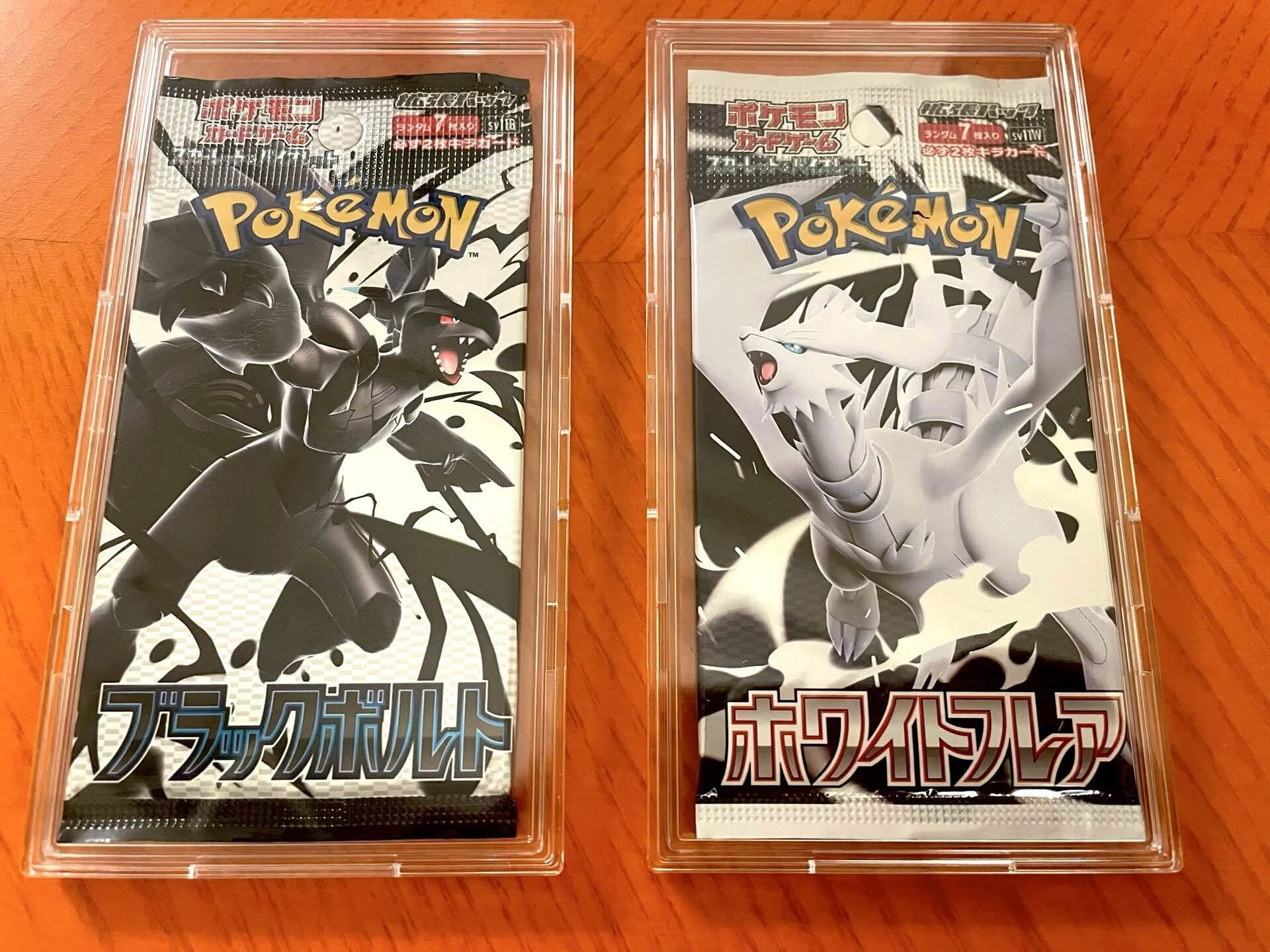 🔰【必修科目】ポケカ投資で覚えておくべきARカードたち②｜メガまめっ