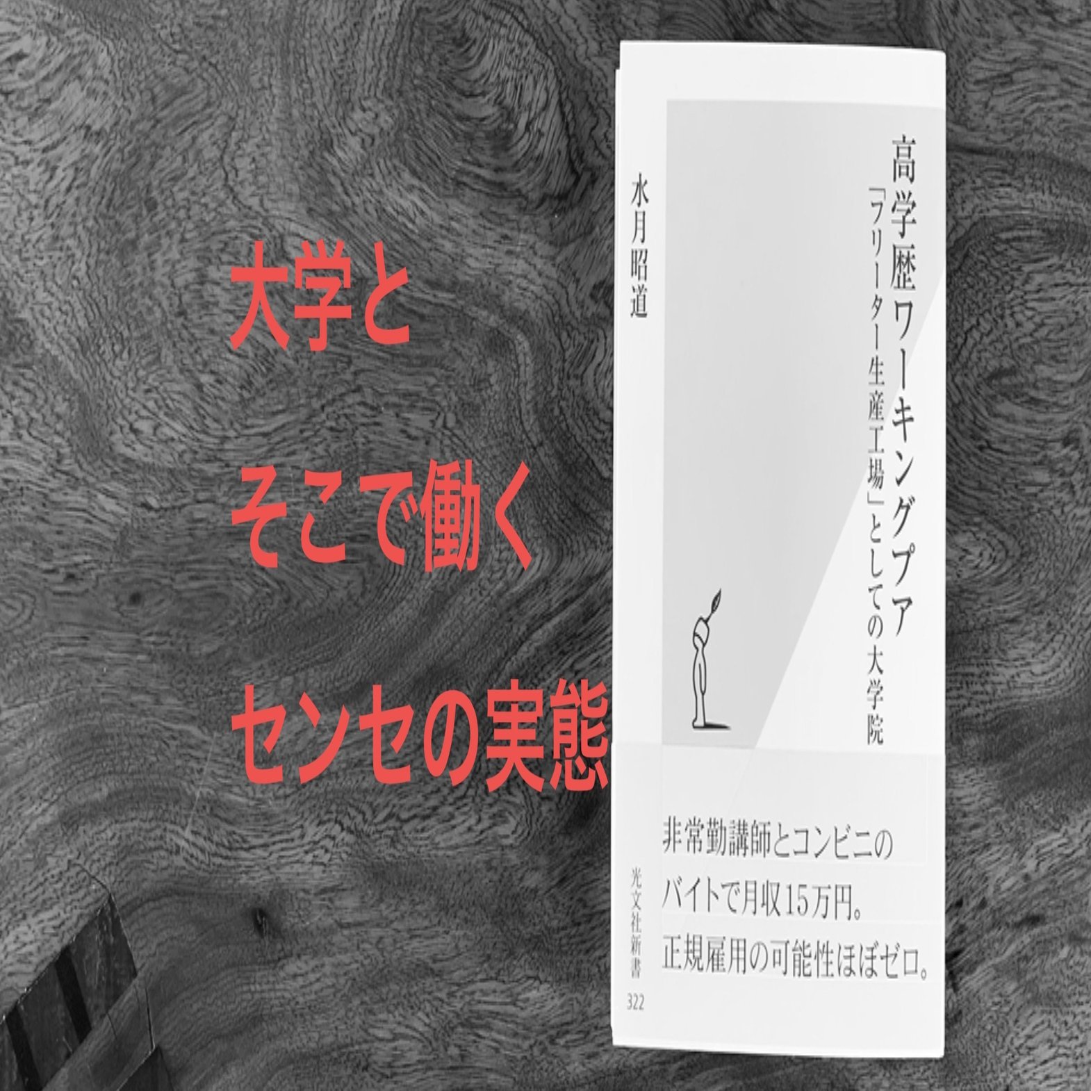 水月昭道著 高学歴ワーキングプア 全文公開 第４章 大学とそこで働くセンセの実態 光文社新書