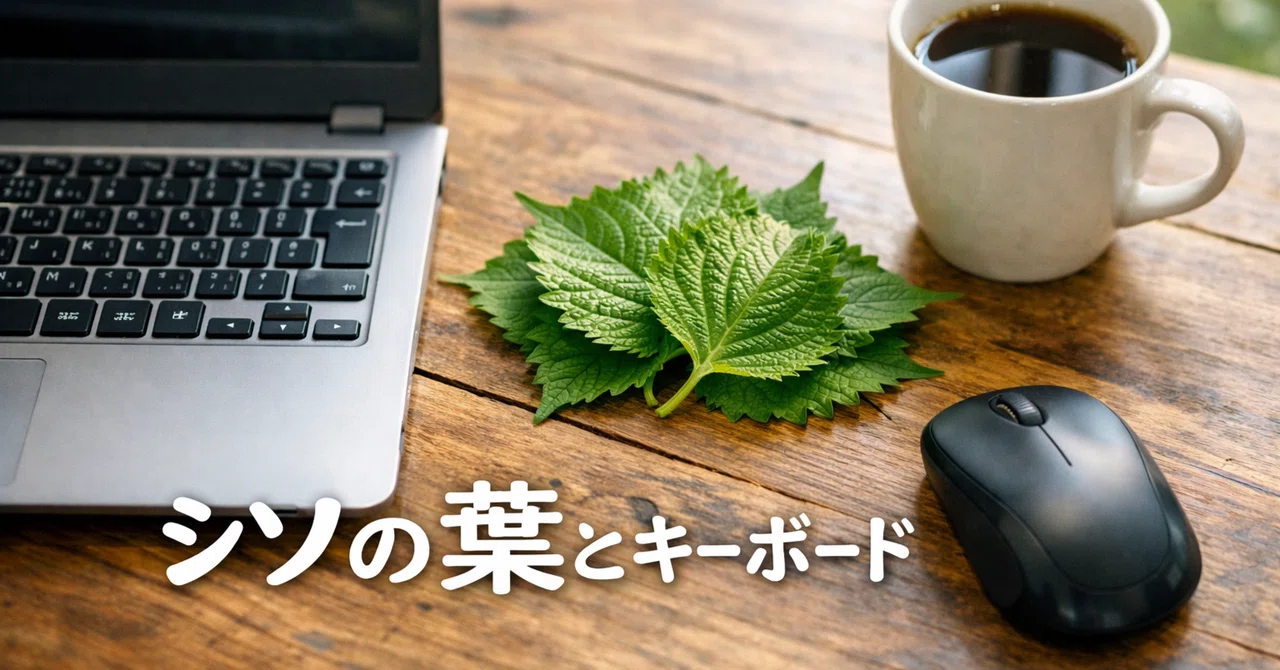 見出し画像