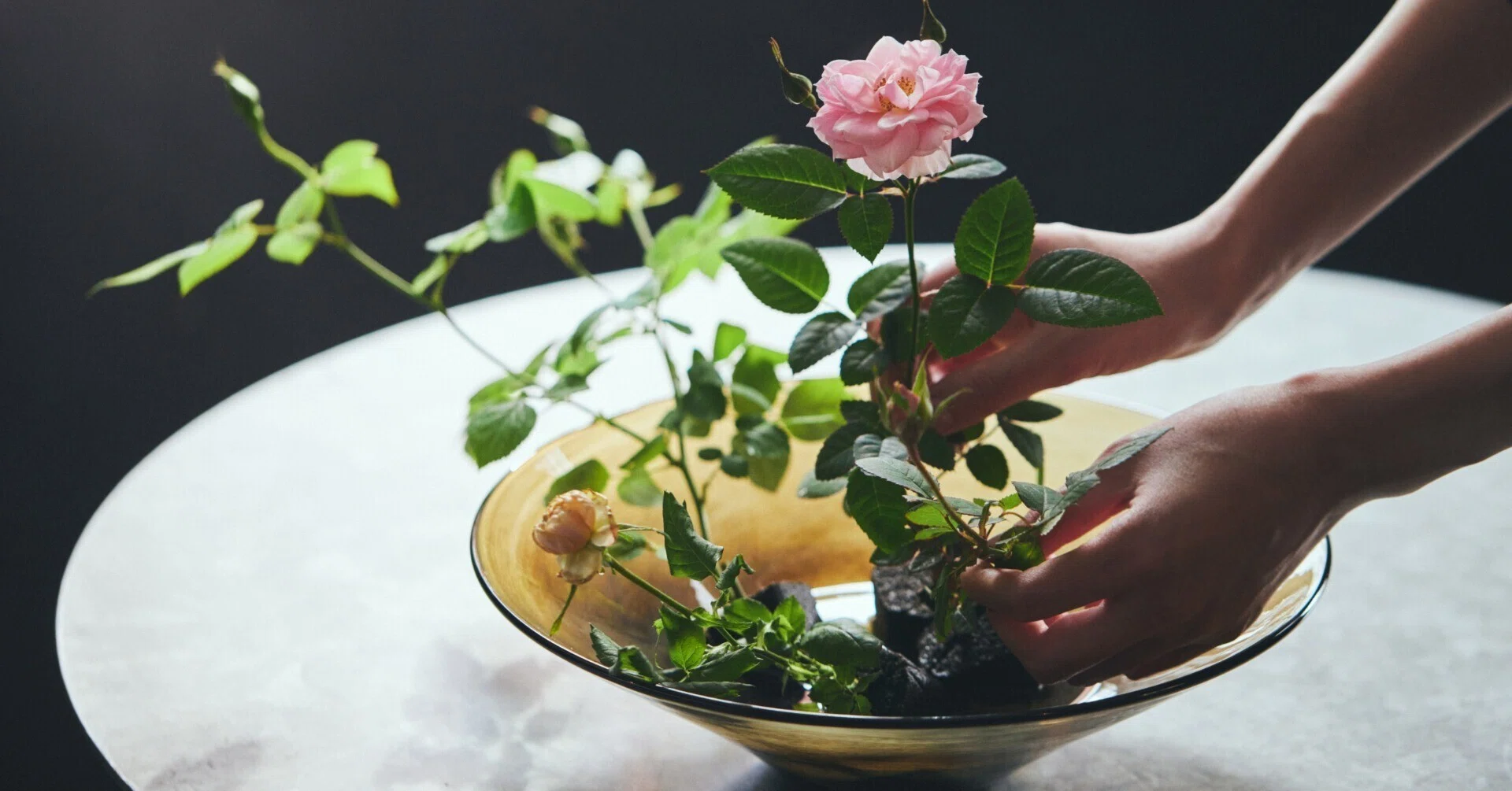 POP-UP NEWS】横浜初開催！WABARA「おへやで育てるばら mini」販売会