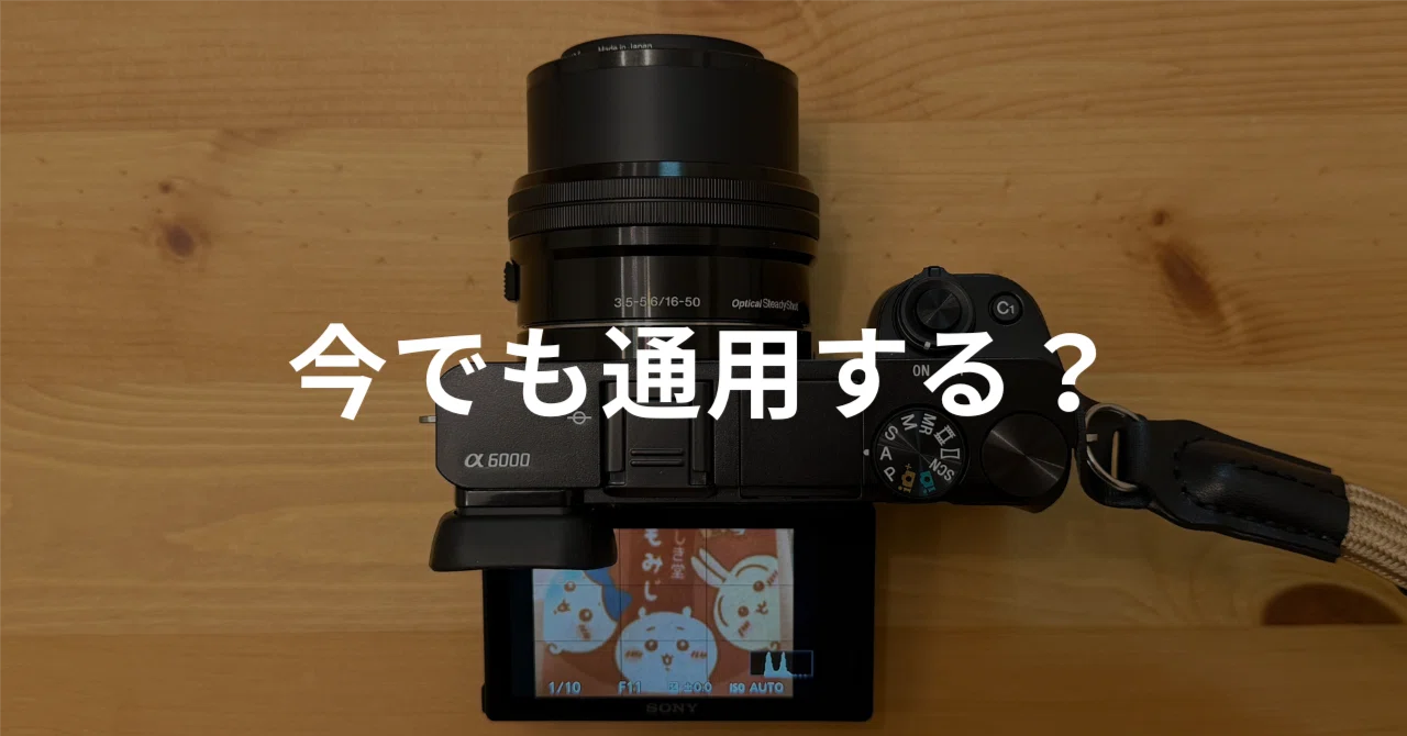 実際に10年以上前のカメラを使ってみてどうだったのか【α6000 実際に10年以上前のカメラを使ってみてどうだったのか【α6000