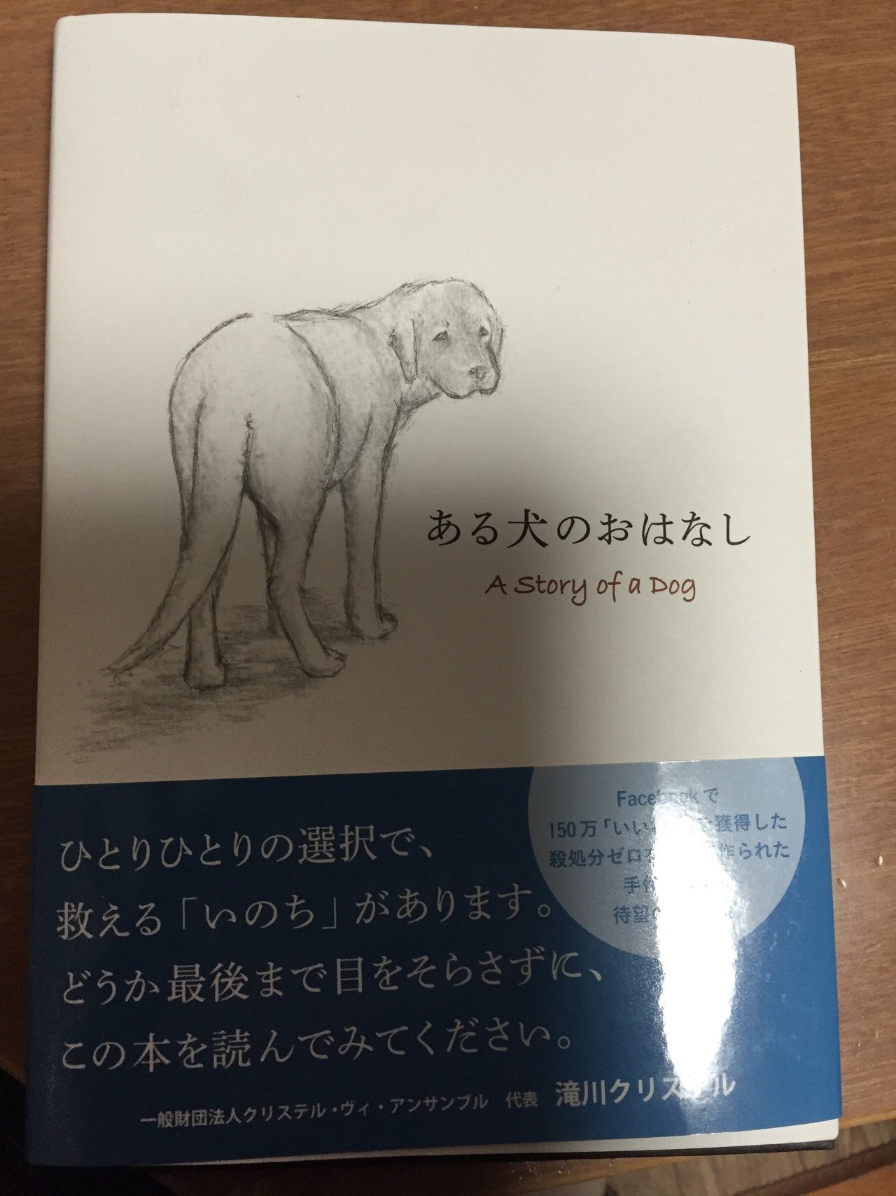 あのですね これ半分読む前にうぅってきますよ 涙目 もえぎに涙を擦りつけましたよ鳴沼 W もえぎ 悪いな 犬 本 殺処分 鳴沼透 Note あのですね これ半分読む前にうぅってきますよ 涙目 もえぎに涙を擦りつけましたよ鳴沼 W もえぎ 悪いな 犬 本 殺処分 鳴沼透 Note