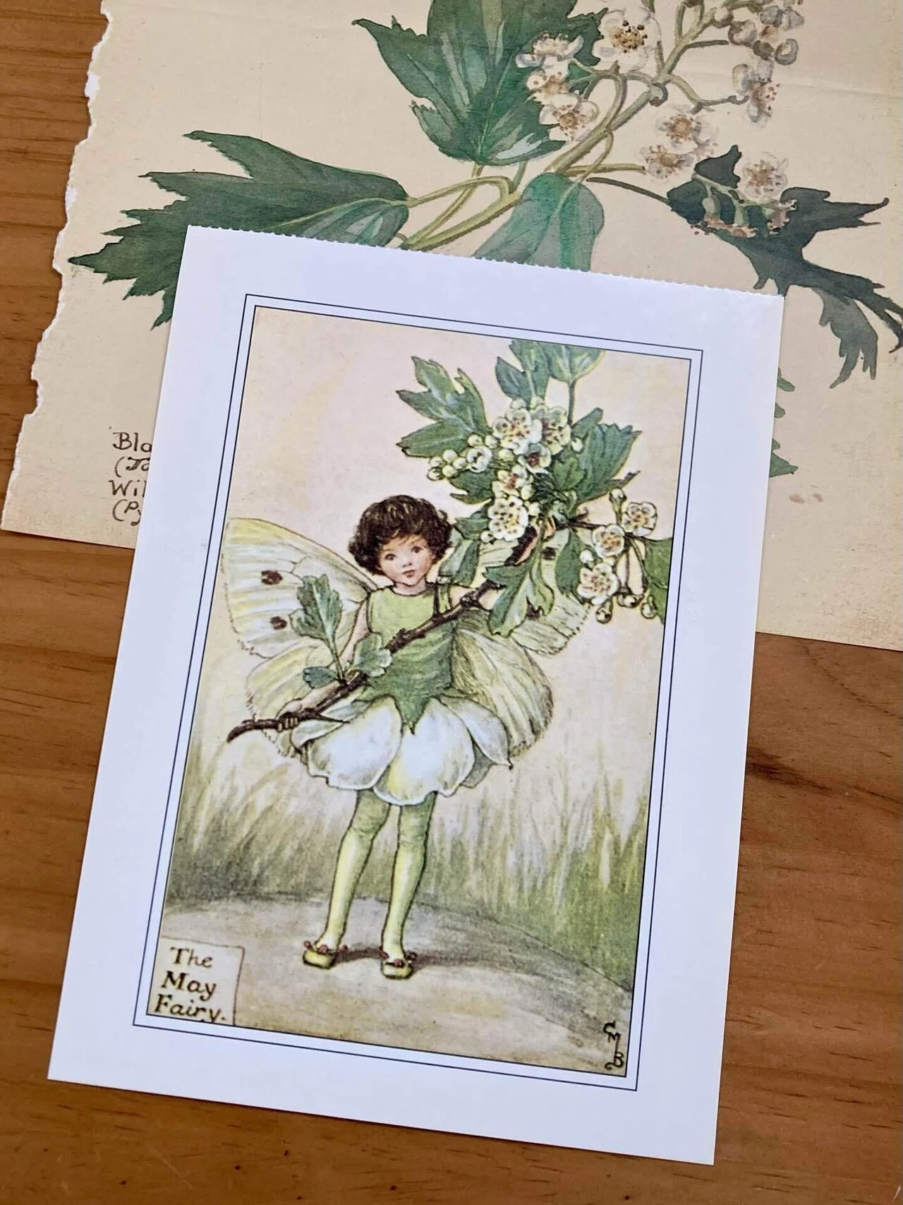 妖精 フェアリー ペンシルアート カラー 絵画 アート 花 フラワー 伊藤忠 花の妖精フラワーフェアリーが春を連れてきてくれました｜文子 （フミコ）