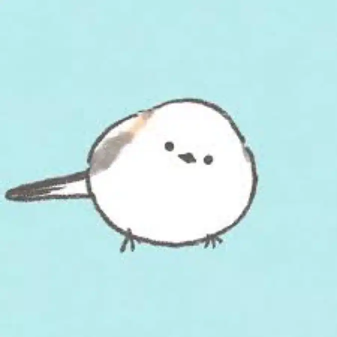 まりも⋆*