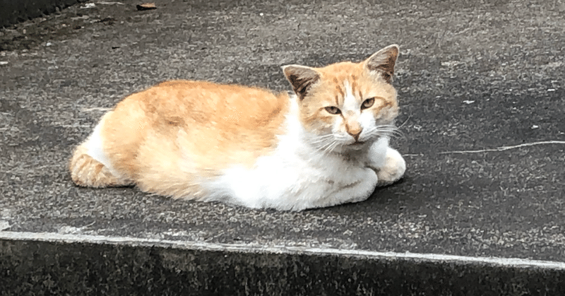 畠山峻｜うつわが欠けた