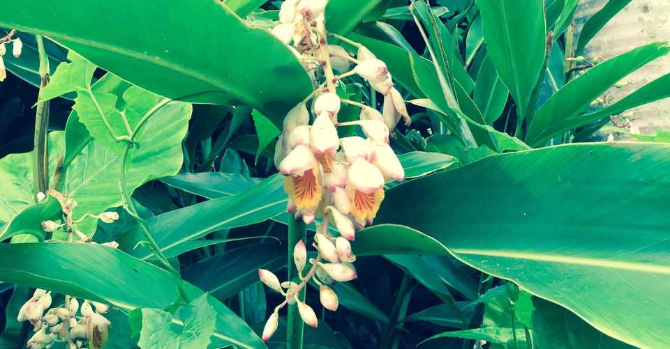 掃除嫌い のんか Note