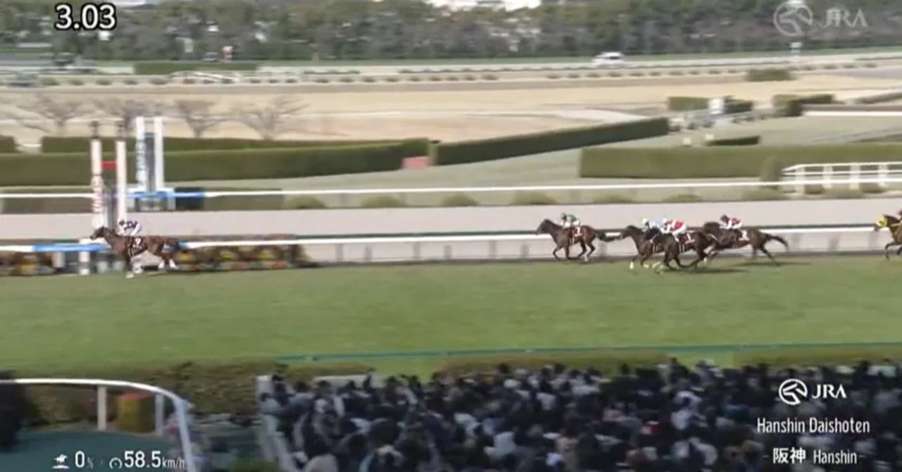 阪神 競馬 場 結果