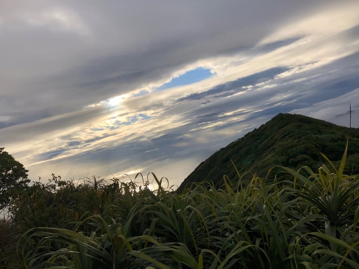 2019春母島。2_200511_0055