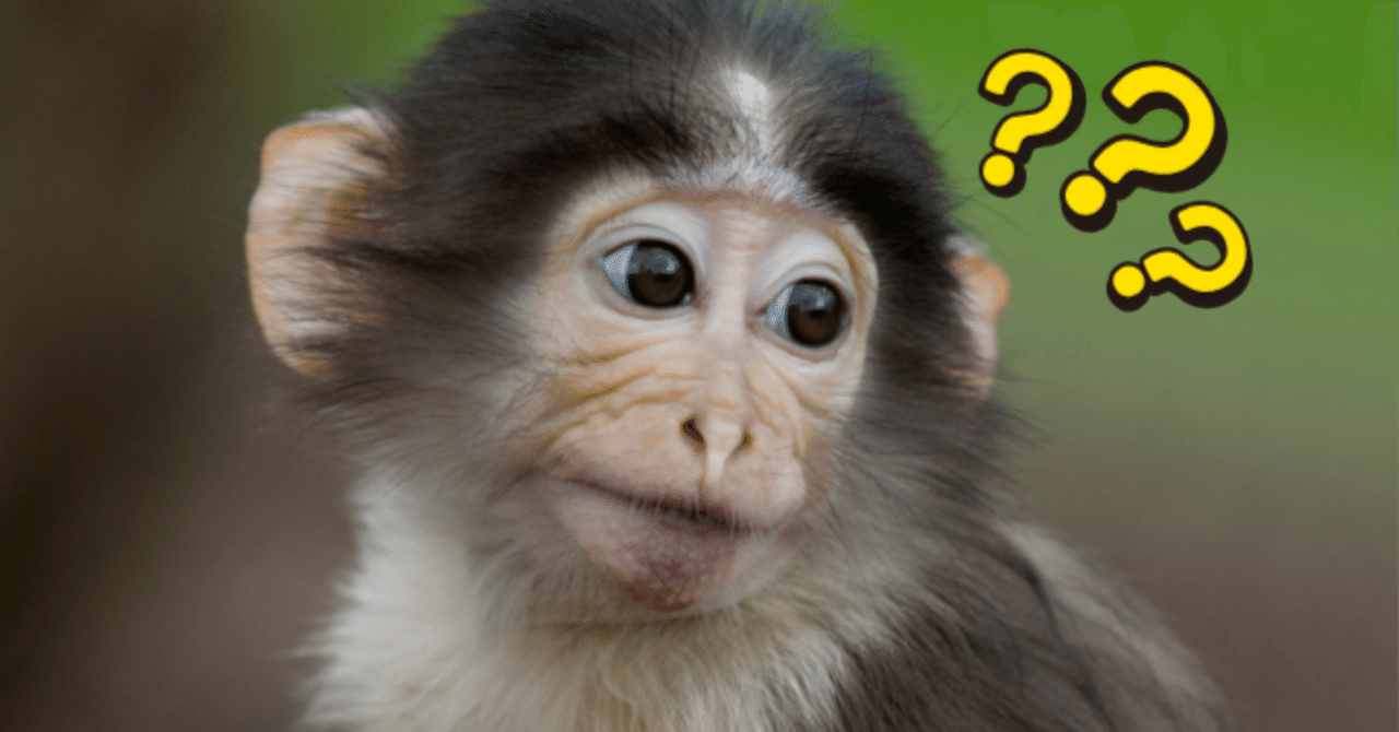 TOKYO BAY STORYってどんな会社が運営してるの？と思った方へ