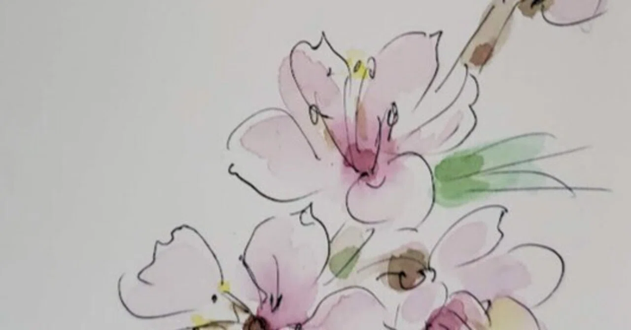 3月14日】お花🌸モモ（花桃）｜こうこ