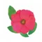 内田光葉
