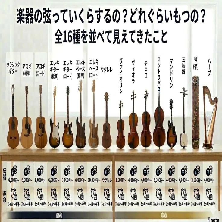 楽器の弦っていくらするの？どれぐらいもつの？ 全16種を並べて見え