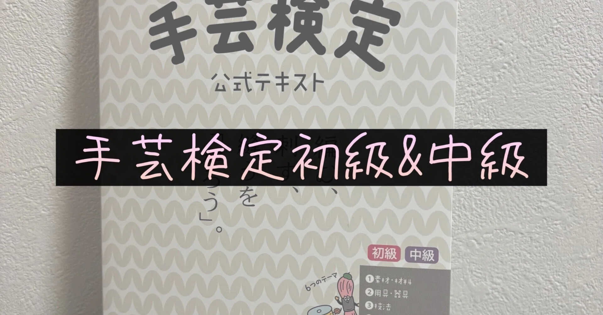 ファーストエース 教材 テキスト 受験 親心書籍 高校受験対策 ファーストマニュアルA(エース) 実践編 要点