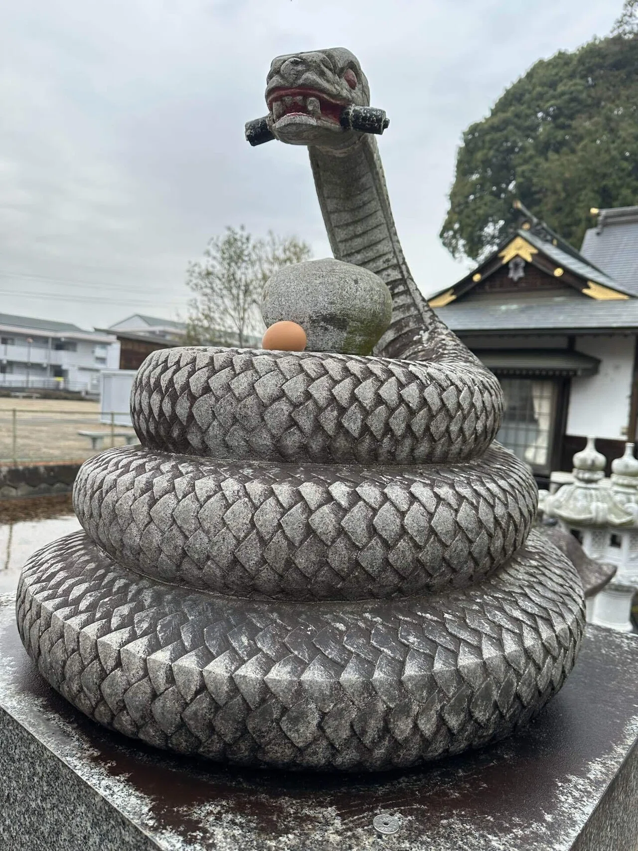 栃木・真岡】白蛇辨財天で最強金運を掴み、日本一のいちごを味わう至福