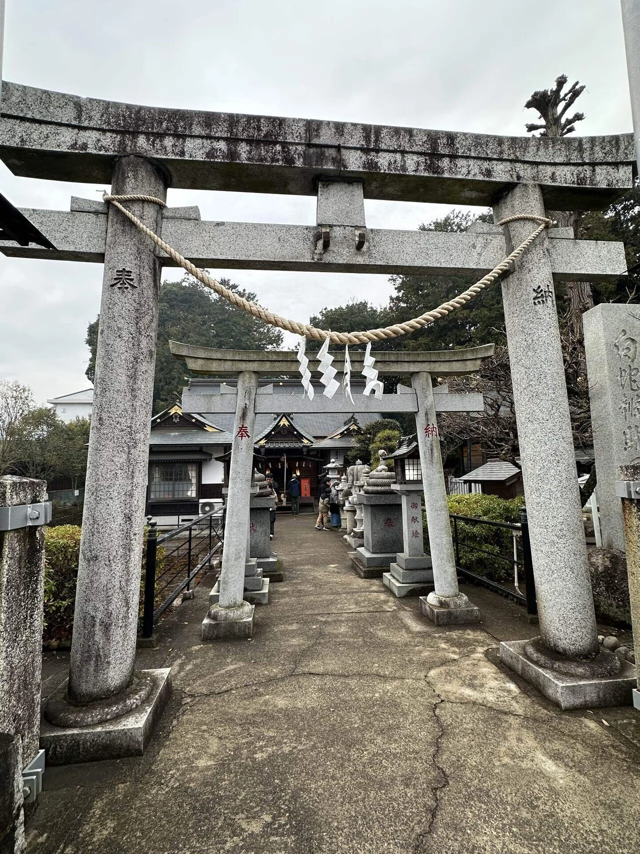 栃木・真岡】白蛇辨財天で最強金運を掴み、日本一のいちごを味わう至福
