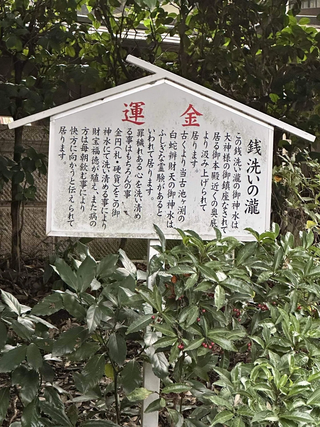 栃木・真岡】白蛇辨財天で最強金運を掴み、日本一のいちごを味わう至福