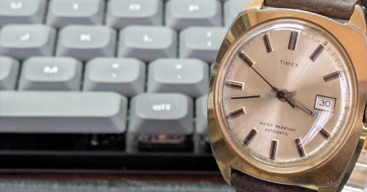 No.426 | Timex | 型番不明 | 多すぎる油とバラせない時計｜とある猫好き