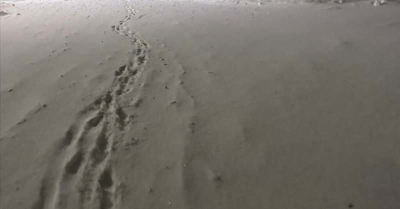 AI時代は自責の人がいいかも