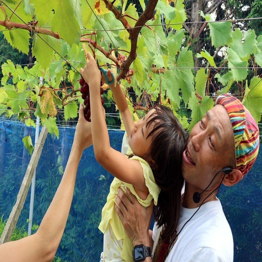 ツアレポ】葡萄農家がご案内！たわわに実ったジューシーな葡萄を大満喫