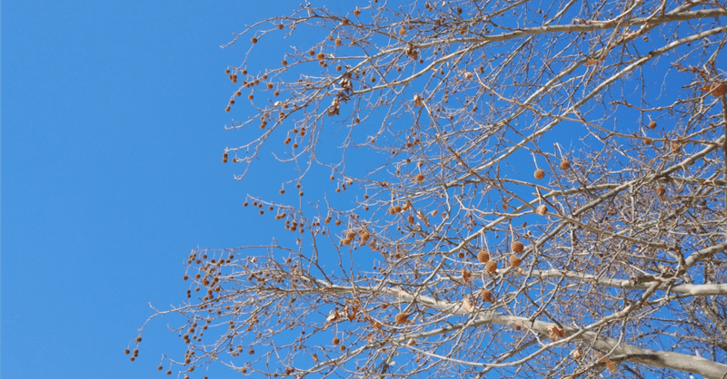 私たちが作りたいのは、最新スペックのための実験場だろうか