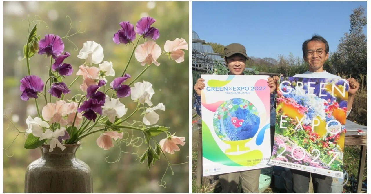 花き農家取材】環境と響き合うスイートピー栽培｜農林水産省GREEN×EXPO