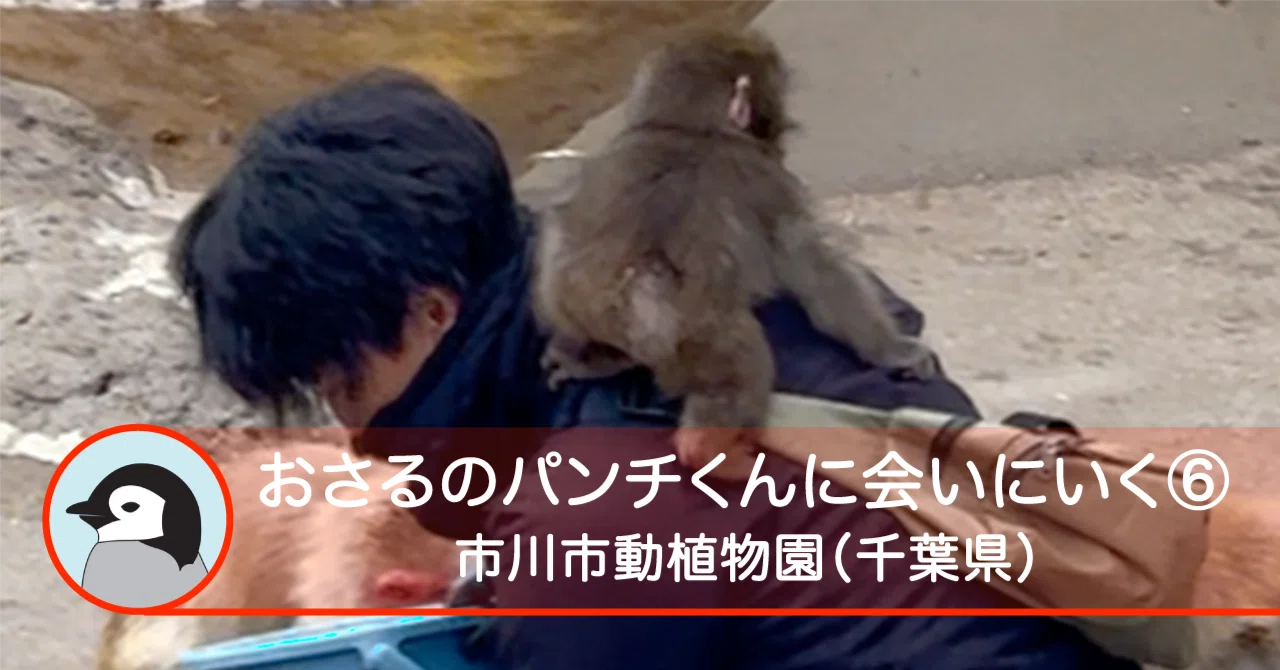 おさるのパンチくんに会いにいく-6】市川市動植物園（千葉県）｜Solo