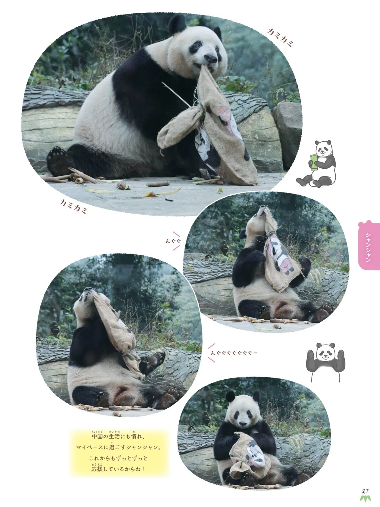 3月19日に技術評論社の写真集『会いたかったよ！浜家、上野パンダ