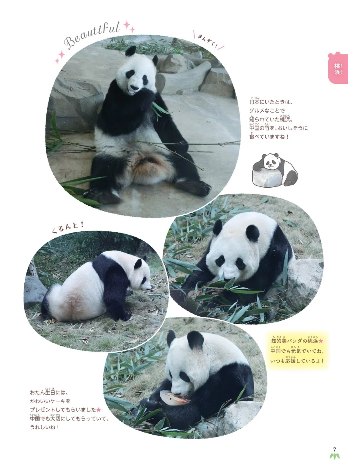 3月19日に技術評論社の写真集『会いたかったよ！浜家、上野パンダ