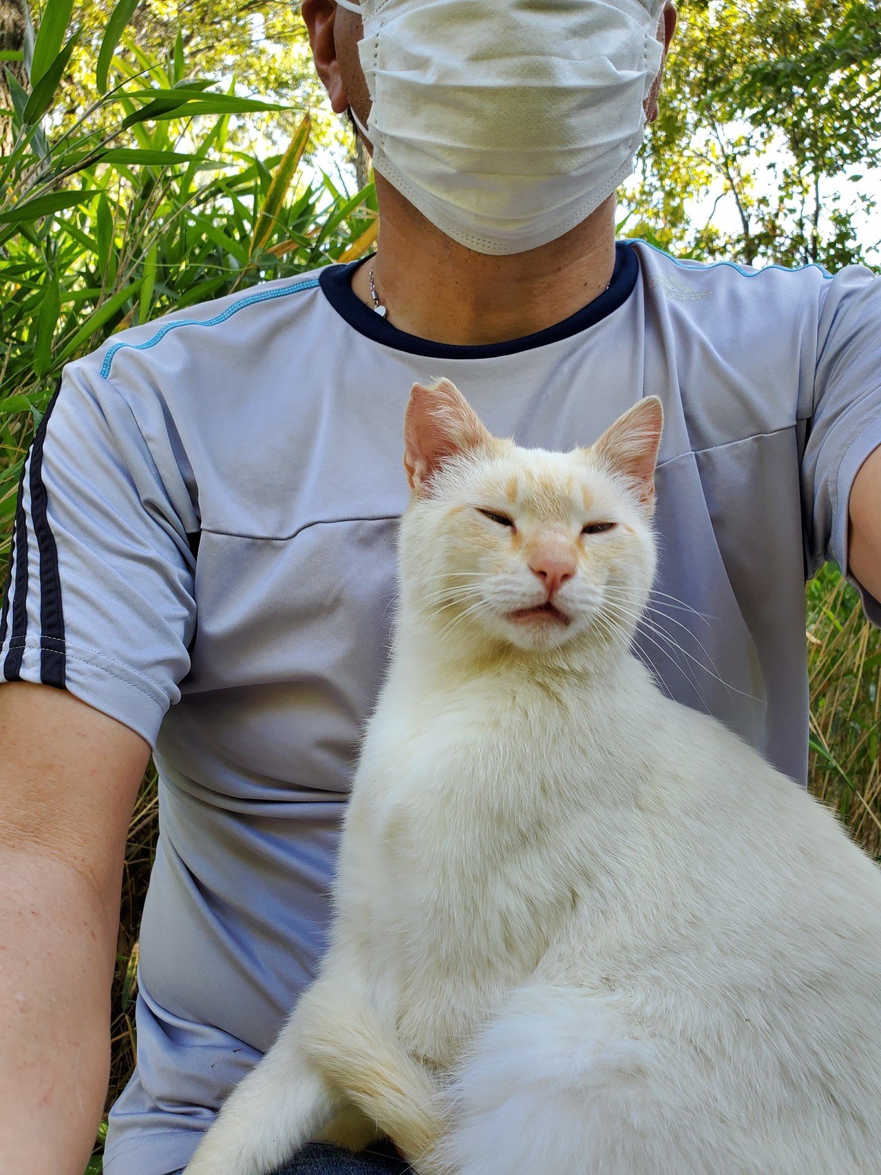 猫日記6日目 プリクラ撮るよ ハイポーズ ゆうきりんりん Note 猫日記6日目 プリクラ撮るよ ハイポーズ ゆうきりんりん Note