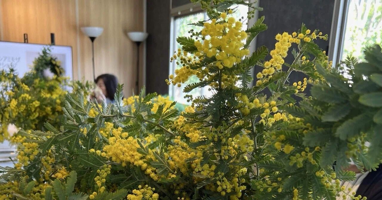 Mimosa Wreath Workshop｜Grace🌱エデン農園🌿薬膳教室