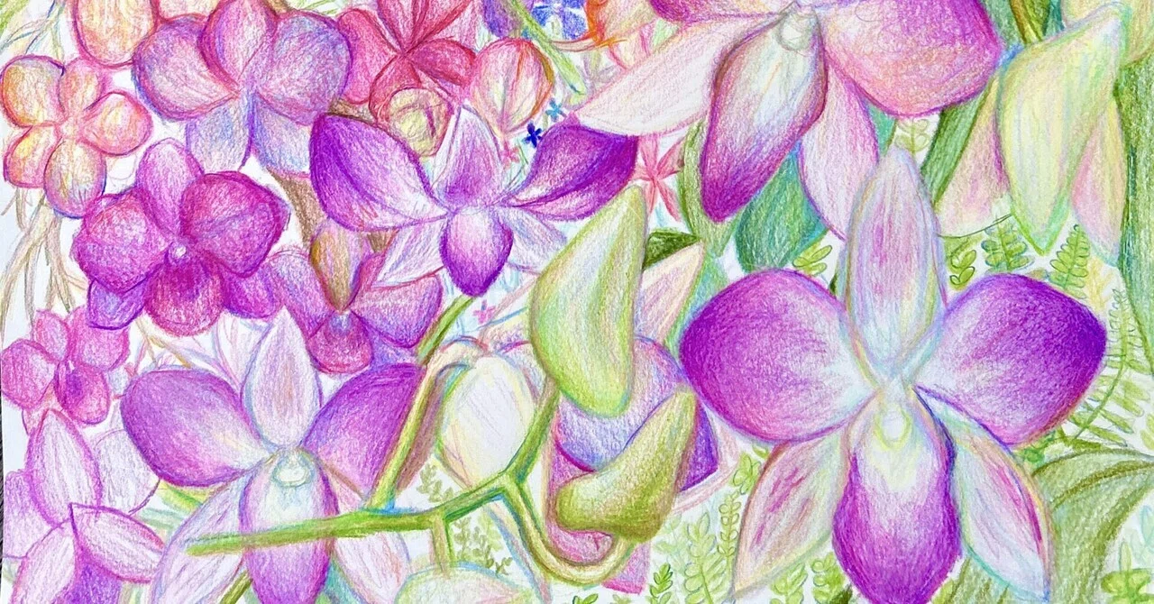たくさんの種類 カラフルなランの花 に 癒やされる❀. *｜Lily_niko