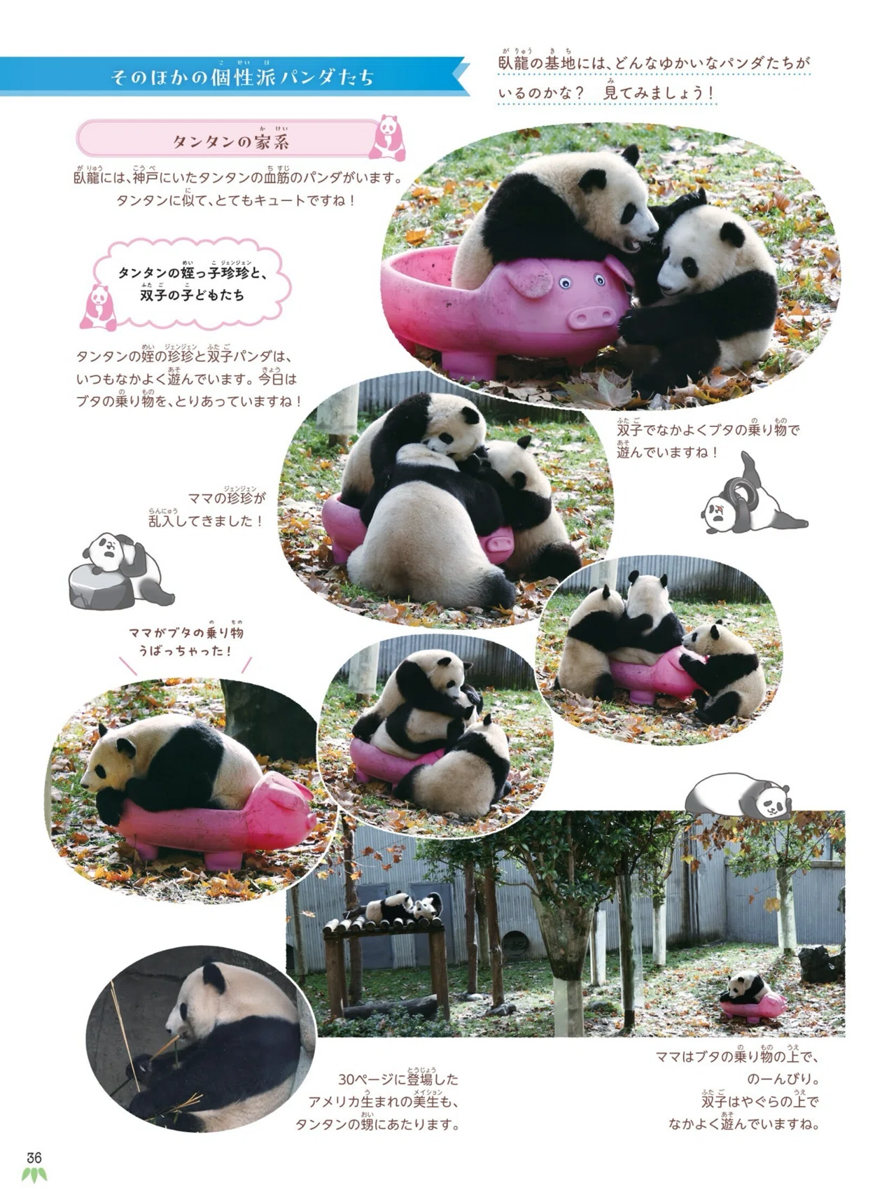 3月19日に技術評論社の写真集『会いたかったよ！浜家、上野パンダ