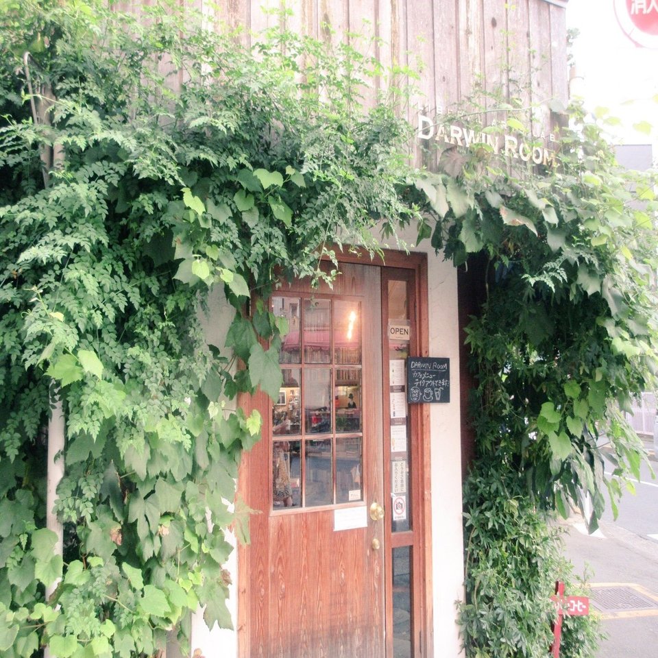 イベントレポ 好奇心の森 ダーウィンルーム Darwin Room 第21回環世界研究室 ありふれたくじら を探して イメージのクジラ ほんとうのクジラ おらんうーたんになりたい Note