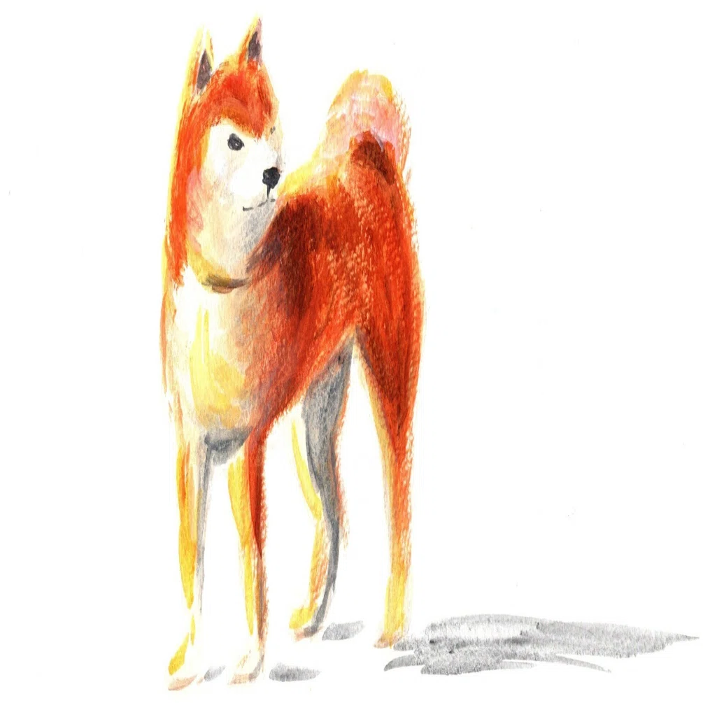 絵　犬 犬が描けない・・・｜碧緑（あおみどり）